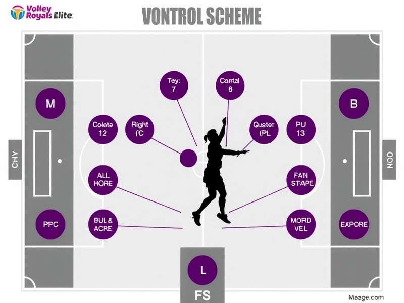 Volley Royals Elite Control Scheme